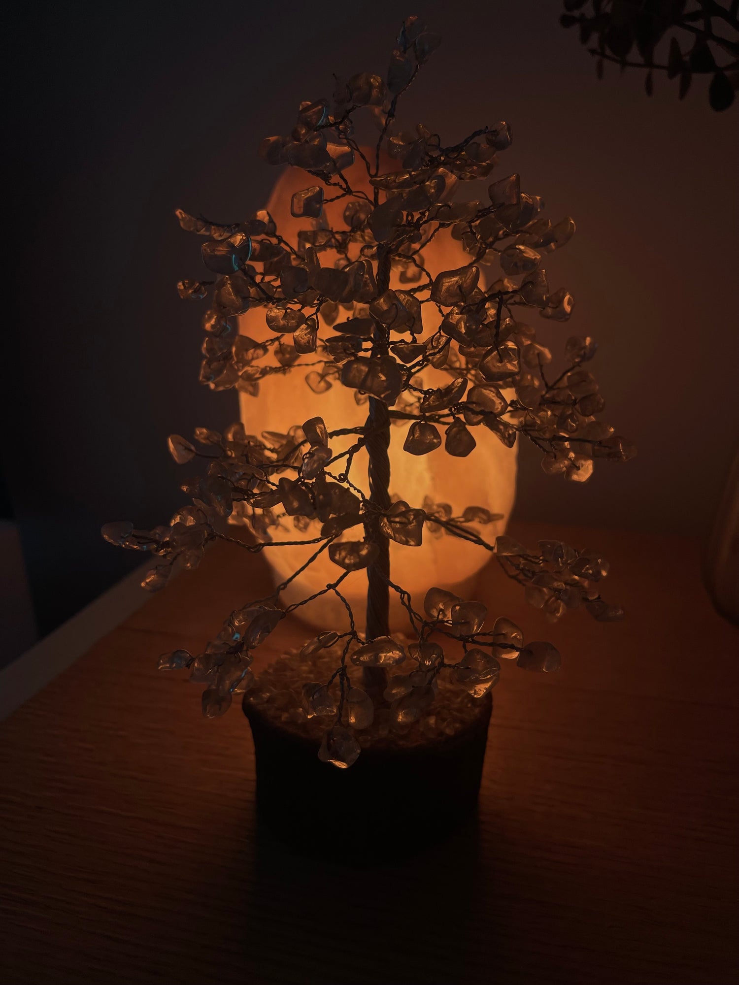 MAGICAL MONEY TREES + CRYSTAL CHIP TREES