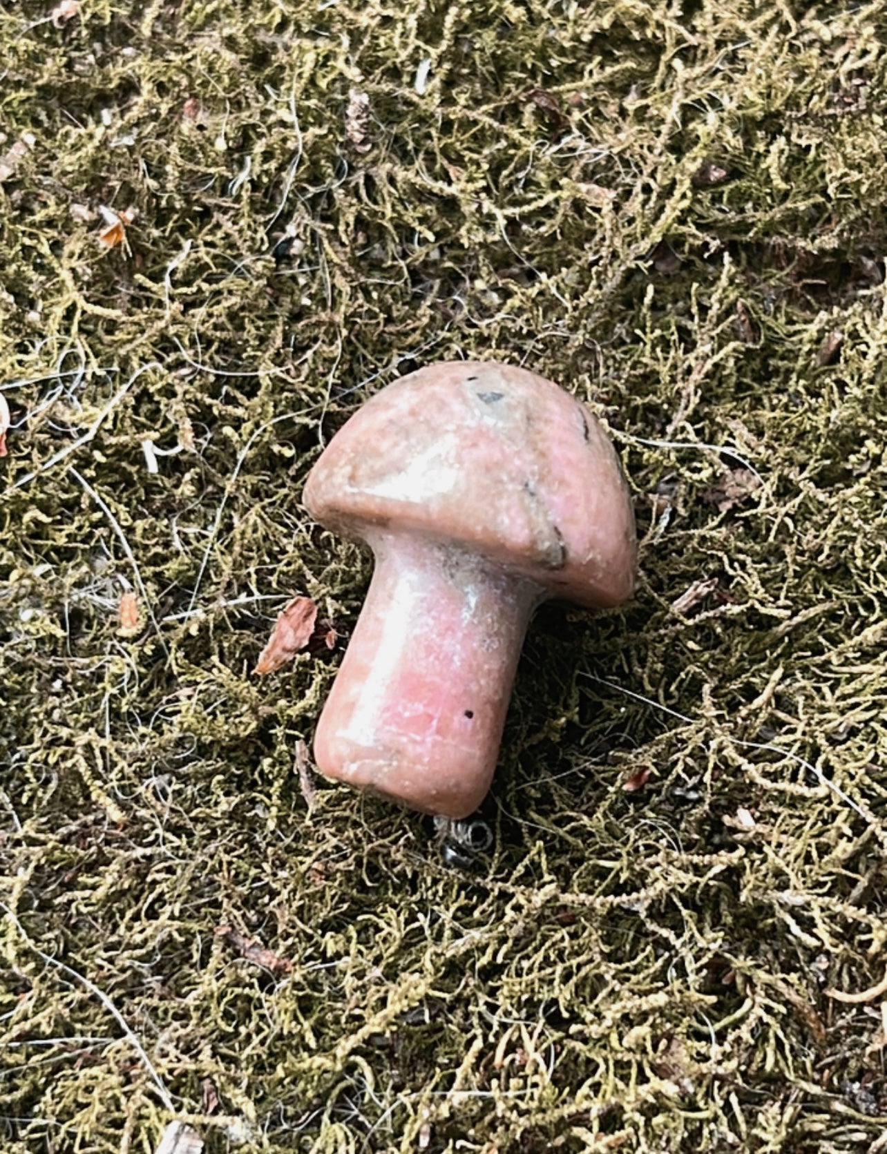 Mini Mushies