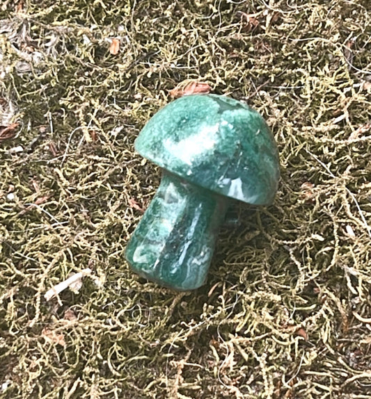 Mini Mushies