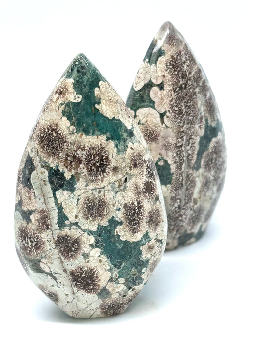 Sakura Jasper/ Rhyolite Green Flower Jasper Flame