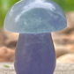 Fluorite Small Chunky Mushies