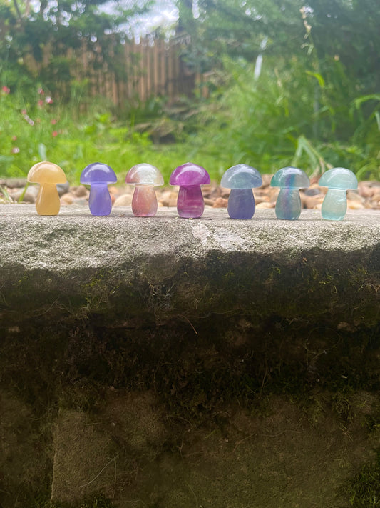 Fluorite Small Chunky Mushies