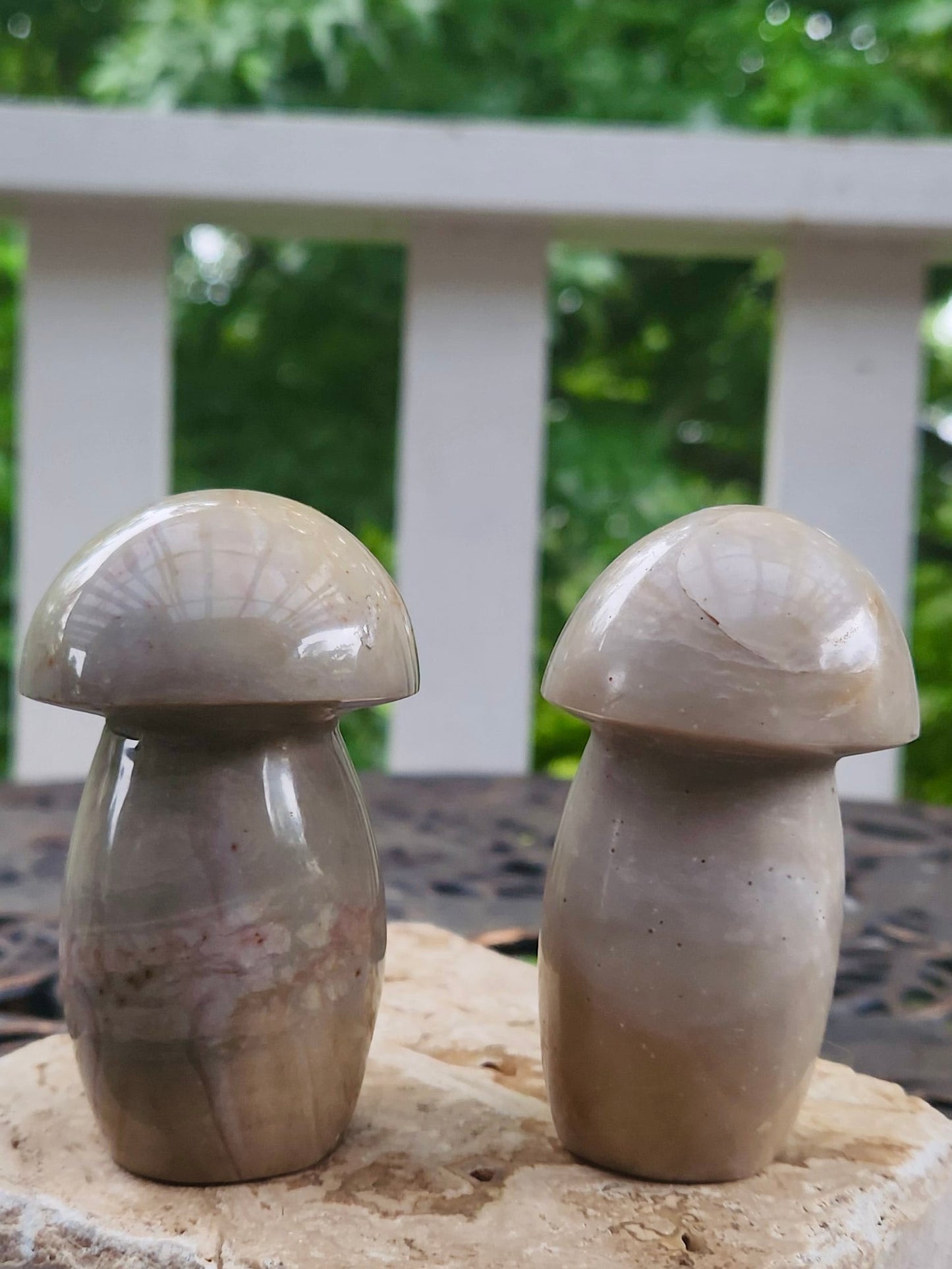 Chunky Mushroom Carvings