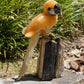 Orange calcite parrot on black tourmaline matrix