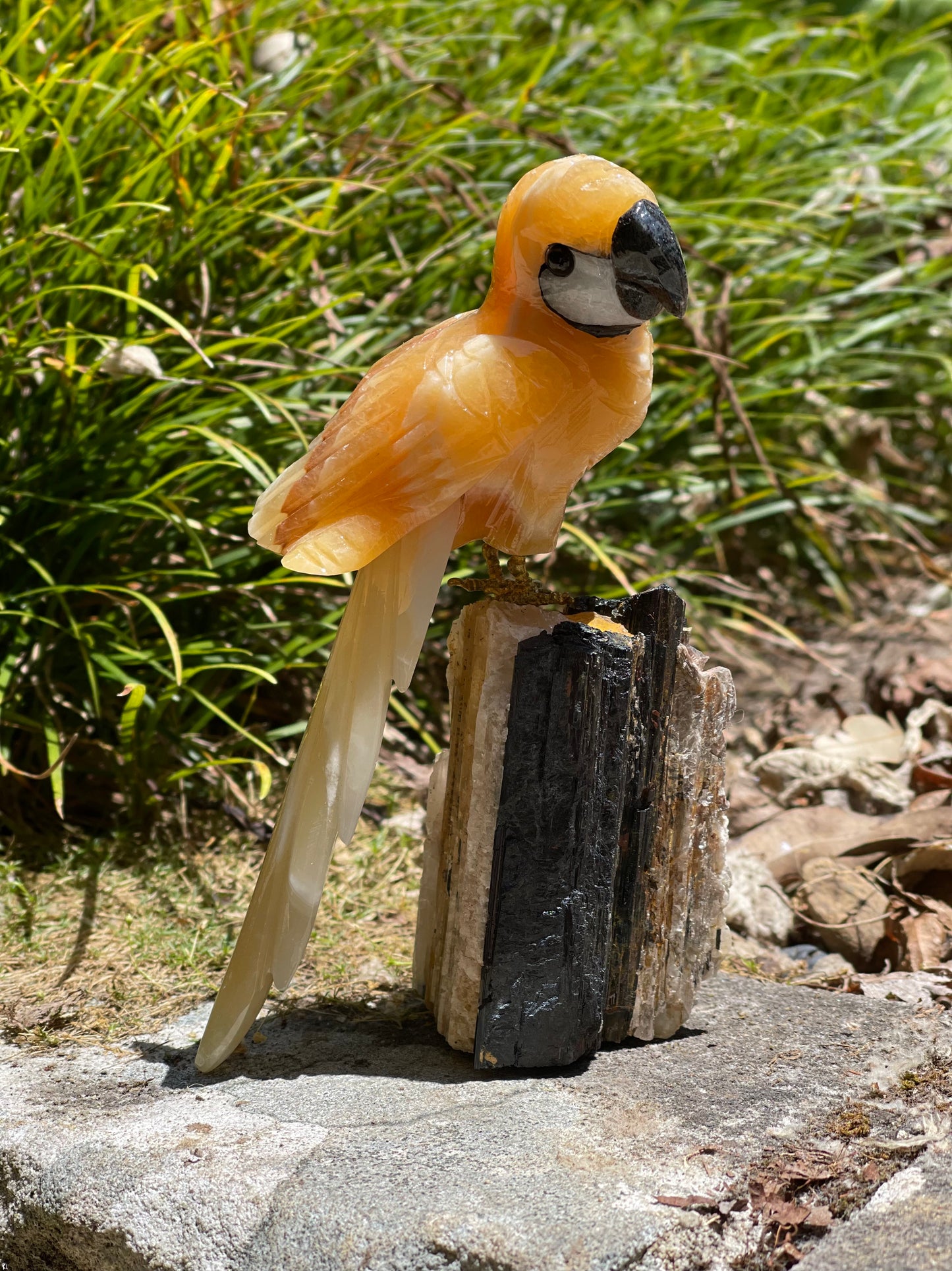 Orange calcite parrot on black tourmaline matrix