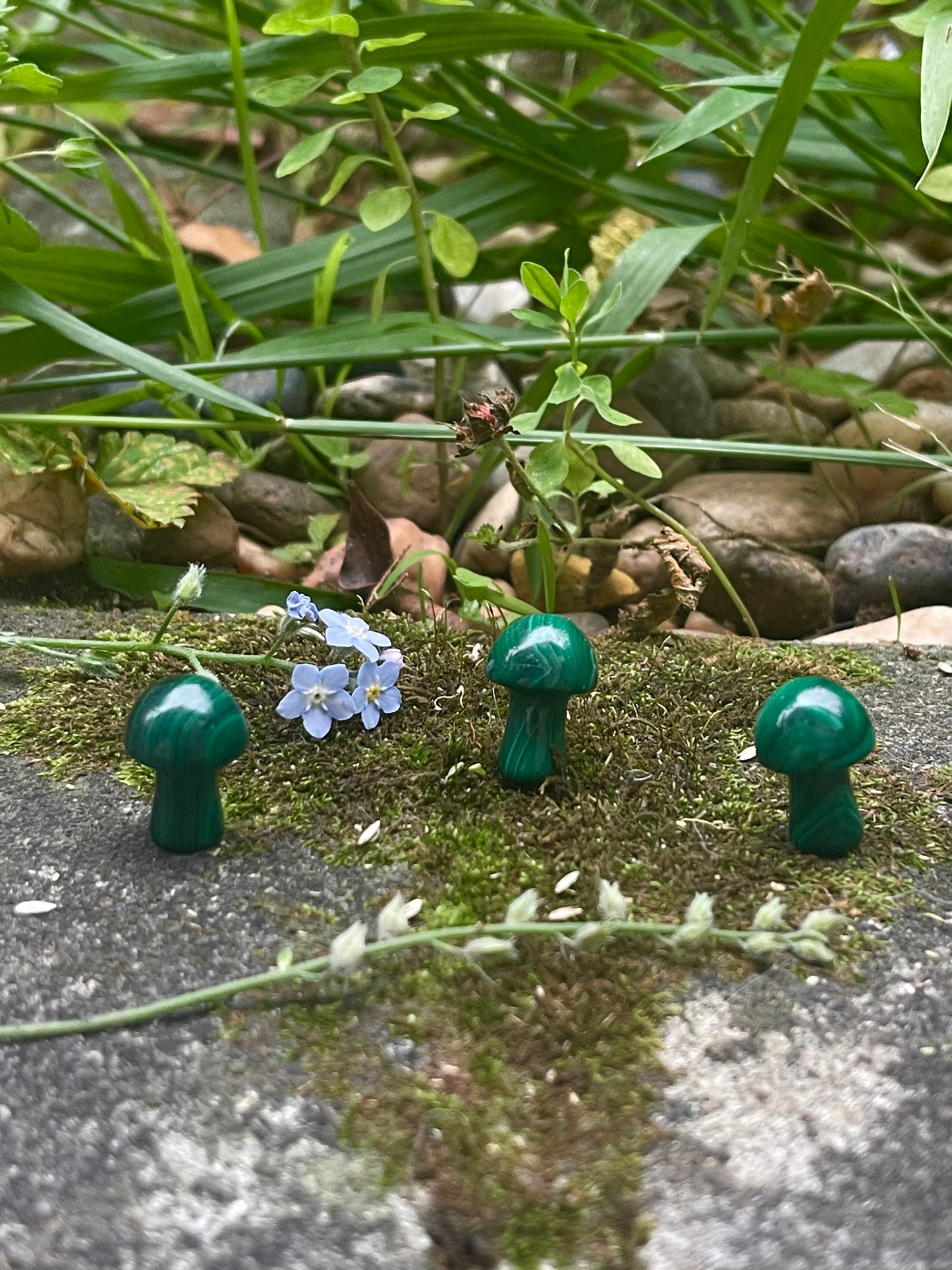 Malachite mini mushies