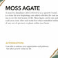 Moss Agate Round Bead Bracelet
