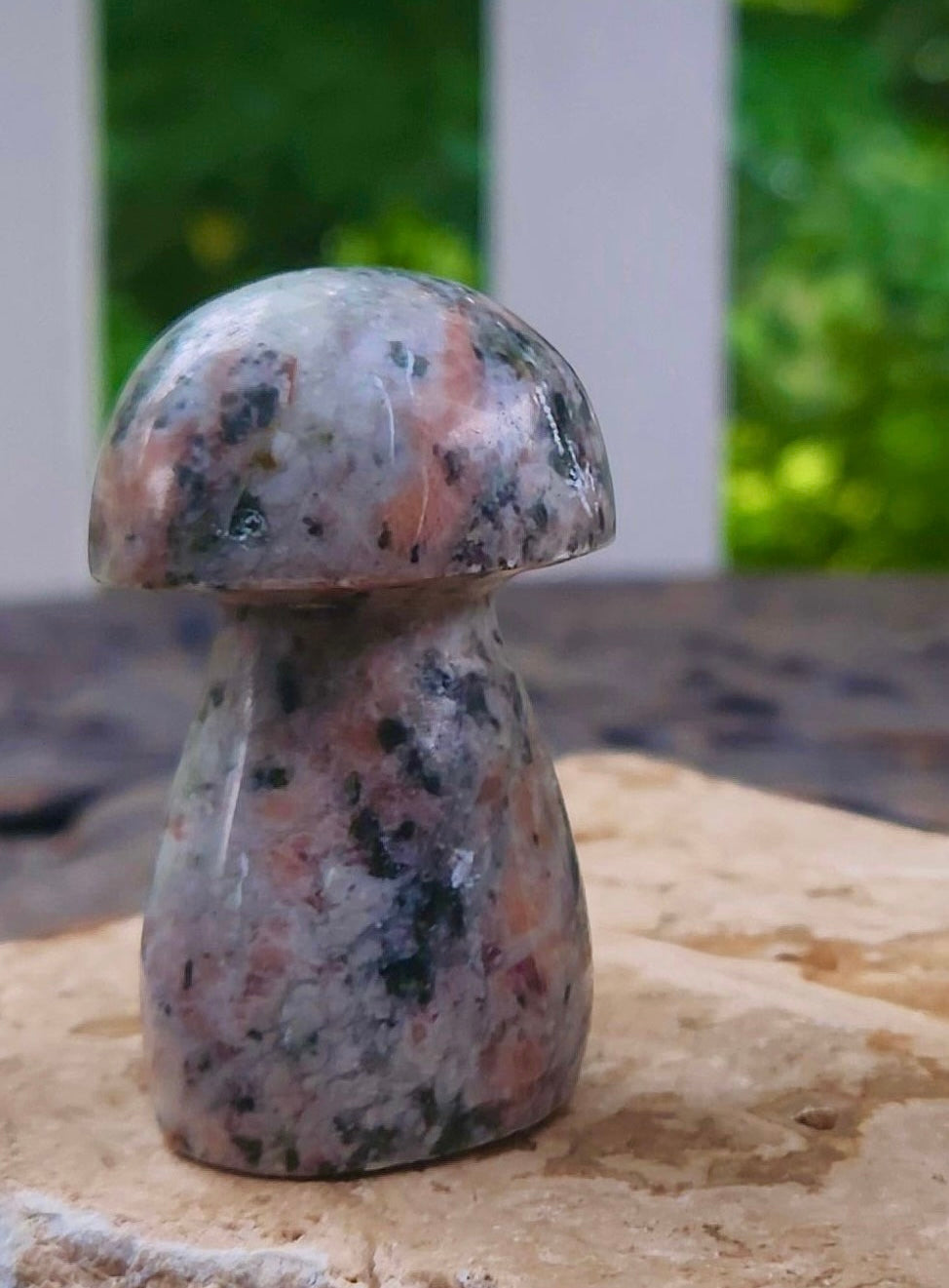 Chunky Mushroom Carvings