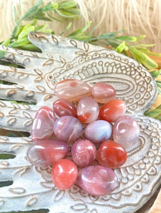 Apricot Agate Tumbles