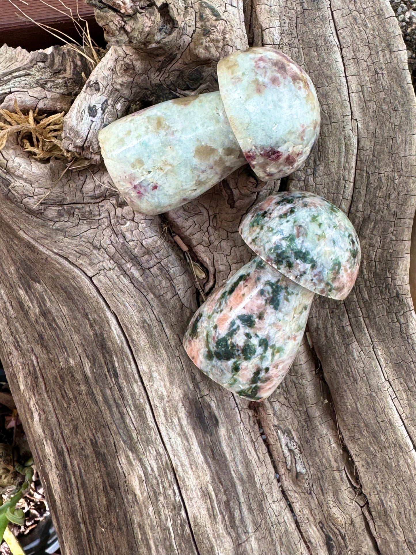 Chunky Mushroom Carvings