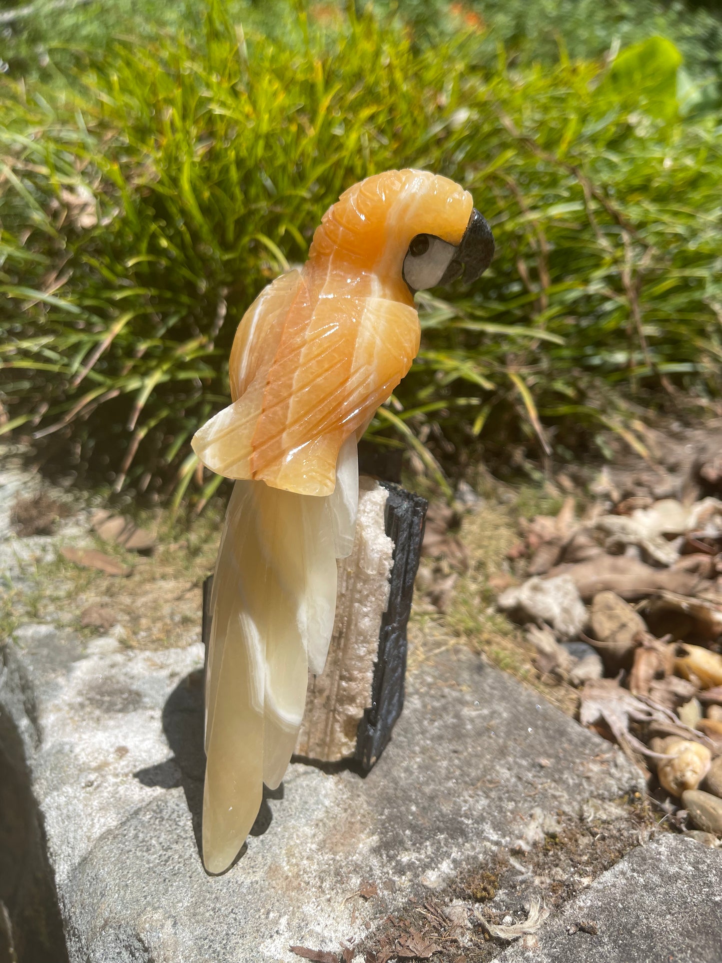 Orange calcite parrot on black tourmaline matrix