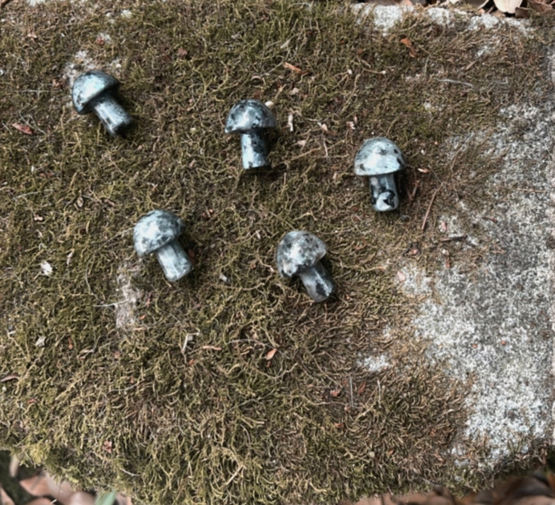 Mini Mushies