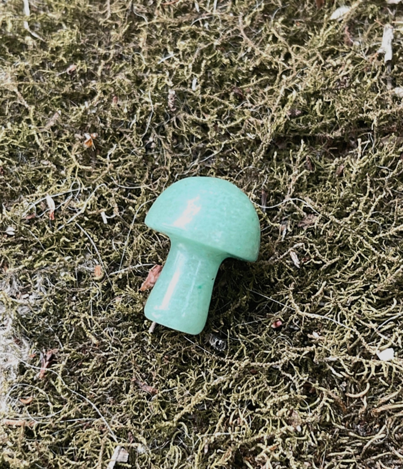 Mini Mushies