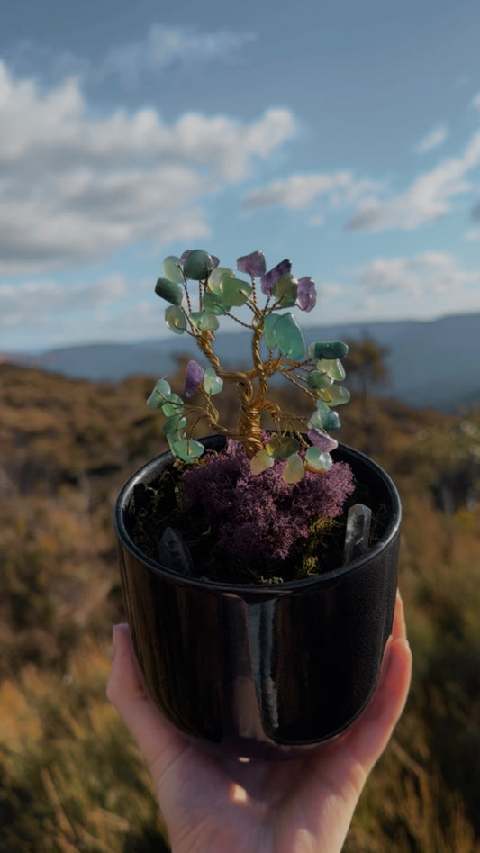 Enchanted Fluorite Crystal Chip Tree