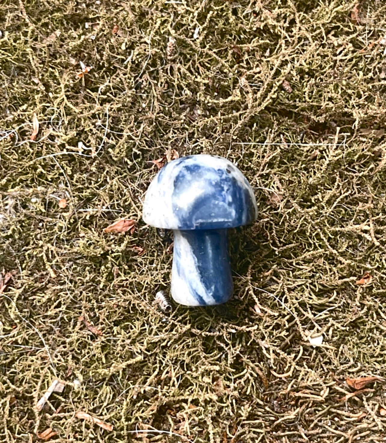 Mini Mushies