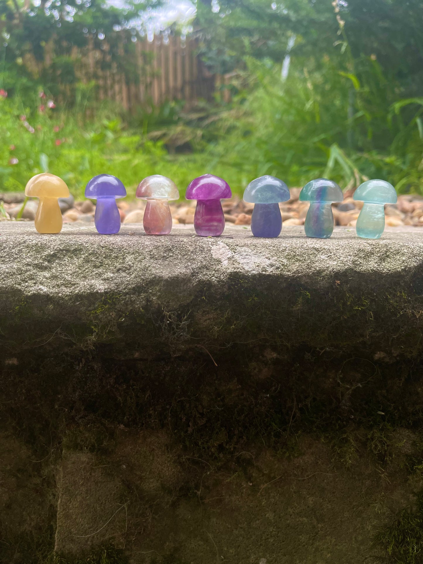 Fluorite Small Chunky Mushies