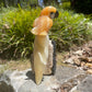 Orange calcite parrot on black tourmaline matrix