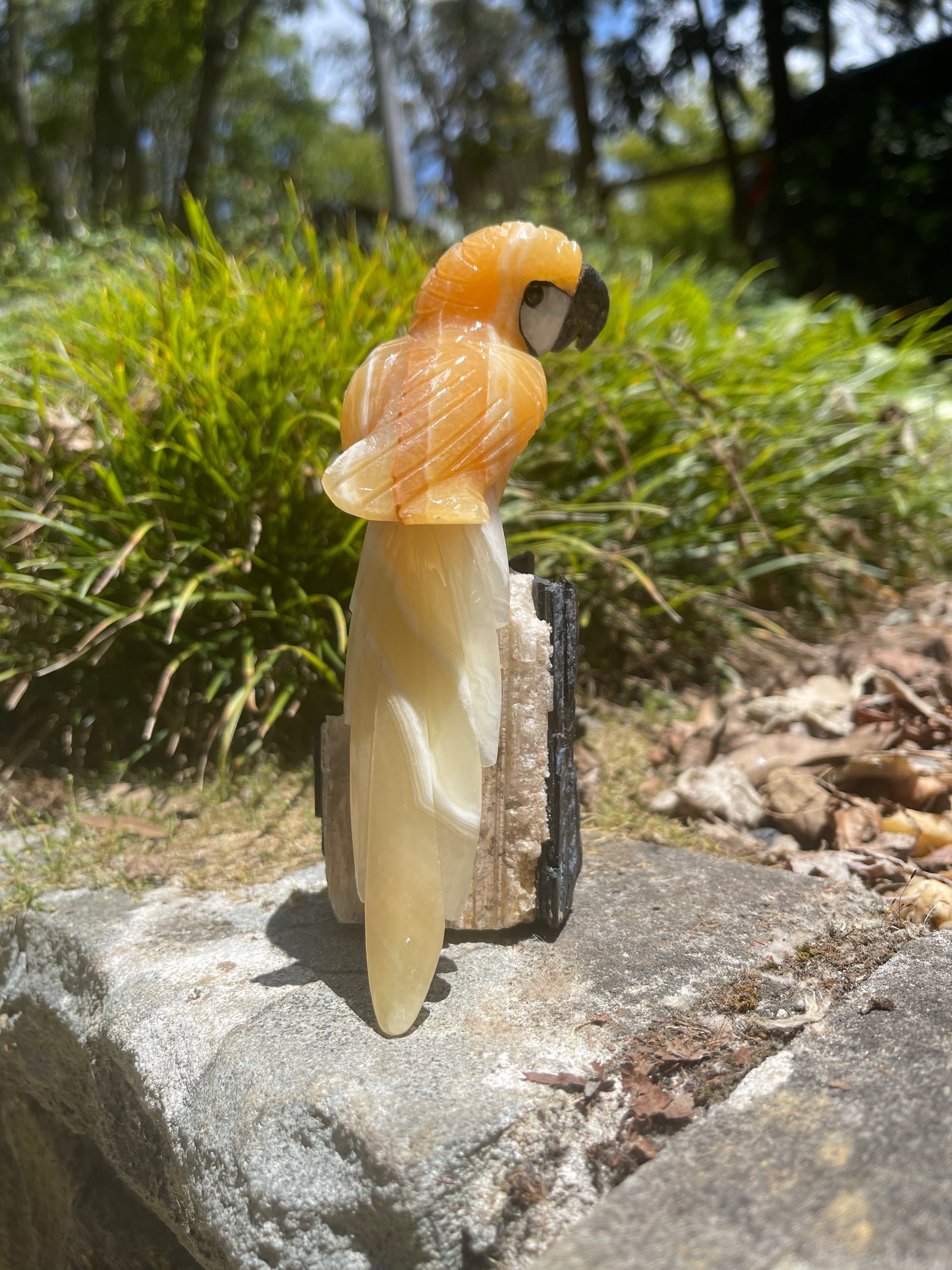 Orange calcite parrot on black tourmaline matrix