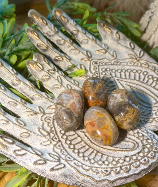 Crazy Lace Agate Tumbles