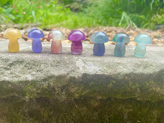 Fluorite Small Chunky Mushies