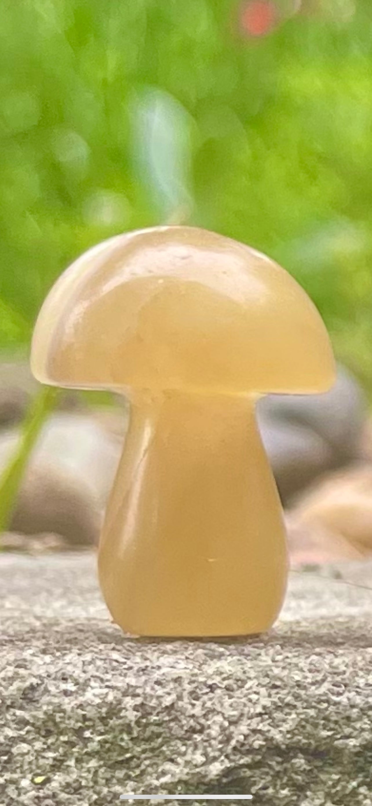 Fluorite Small Chunky Mushies