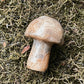 Mini Mushies