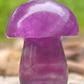 Fluorite Small Chunky Mushies