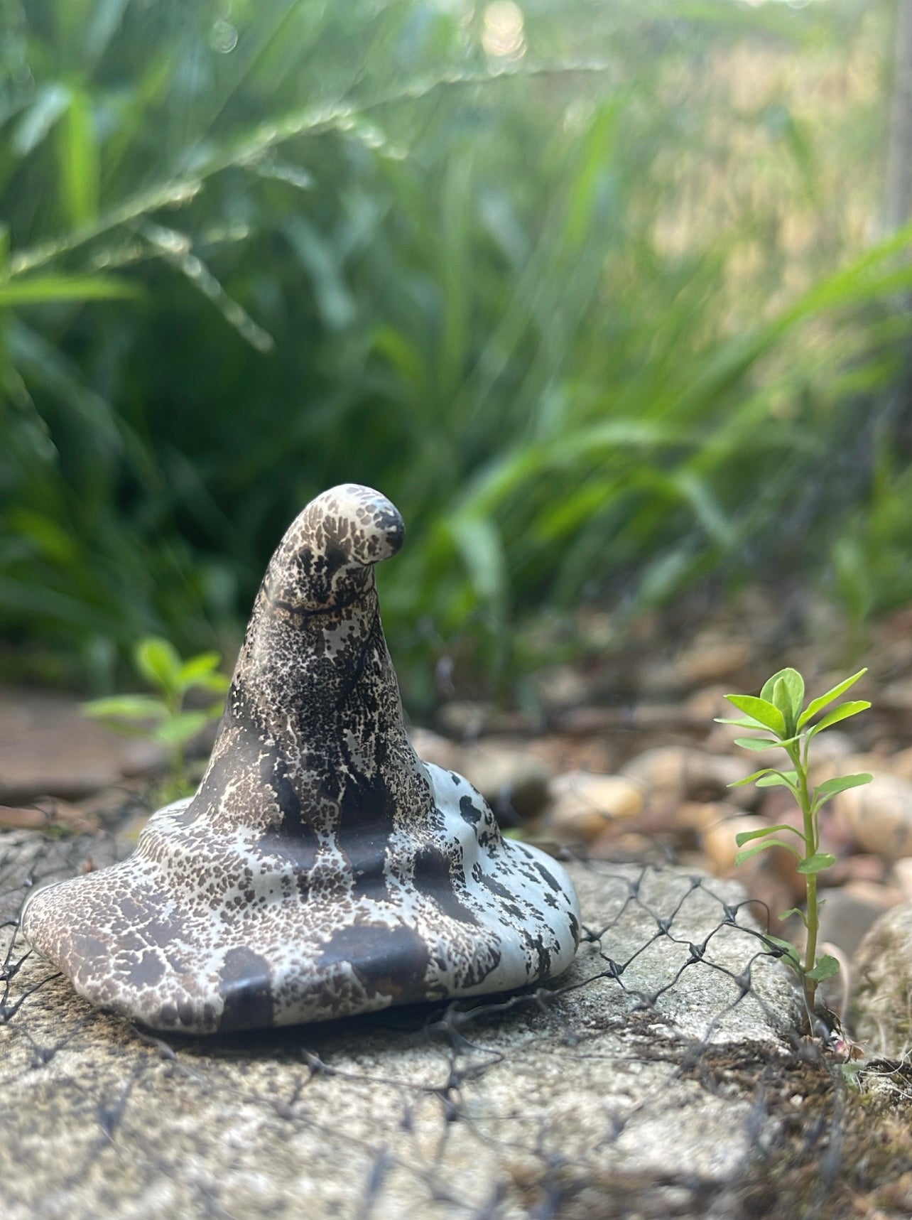 Picture Jasper Witch Hat