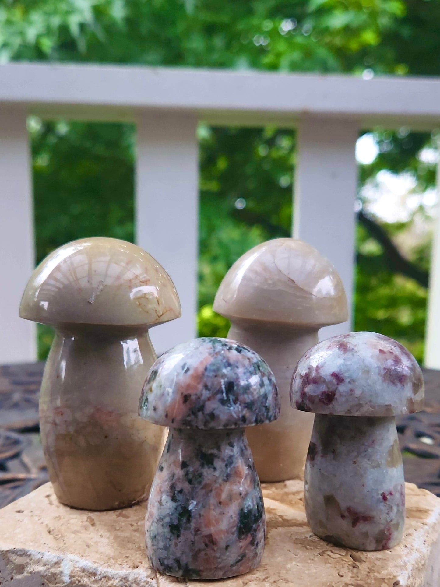 Chunky Mushroom Carvings