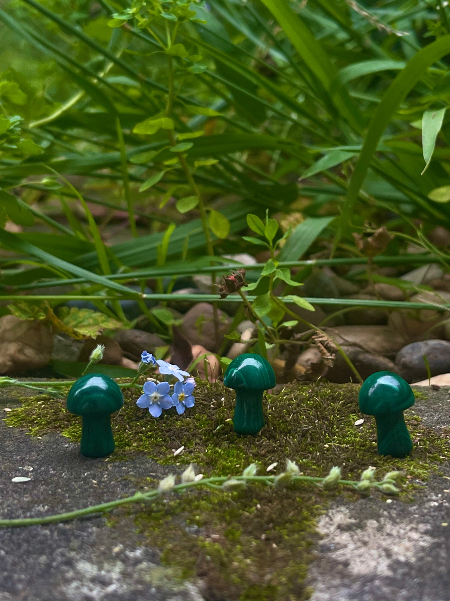 Malachite mini mushies