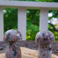 Chunky Mushroom Carvings