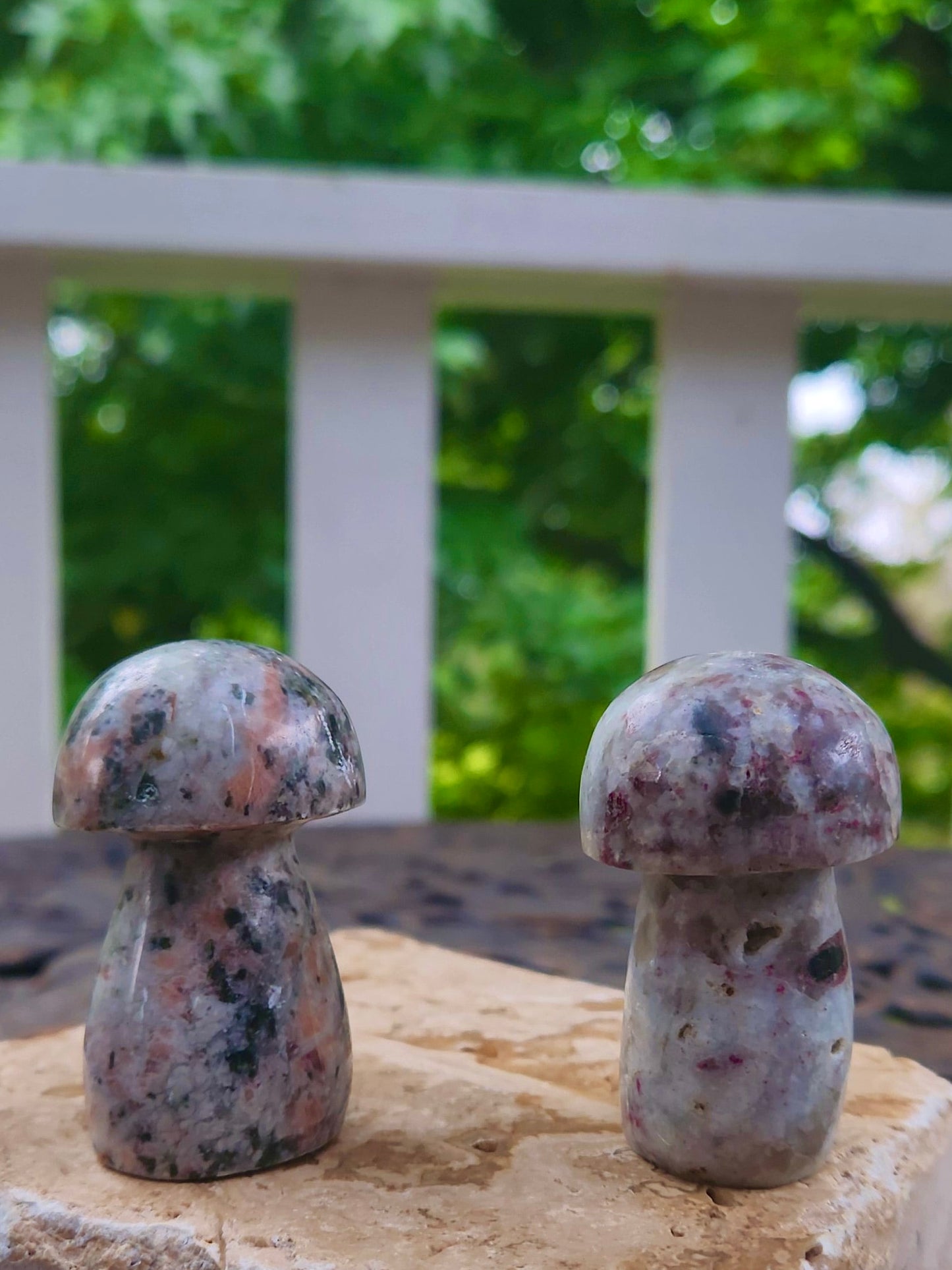 Chunky Mushroom Carvings