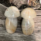Chunky Mushroom Carvings