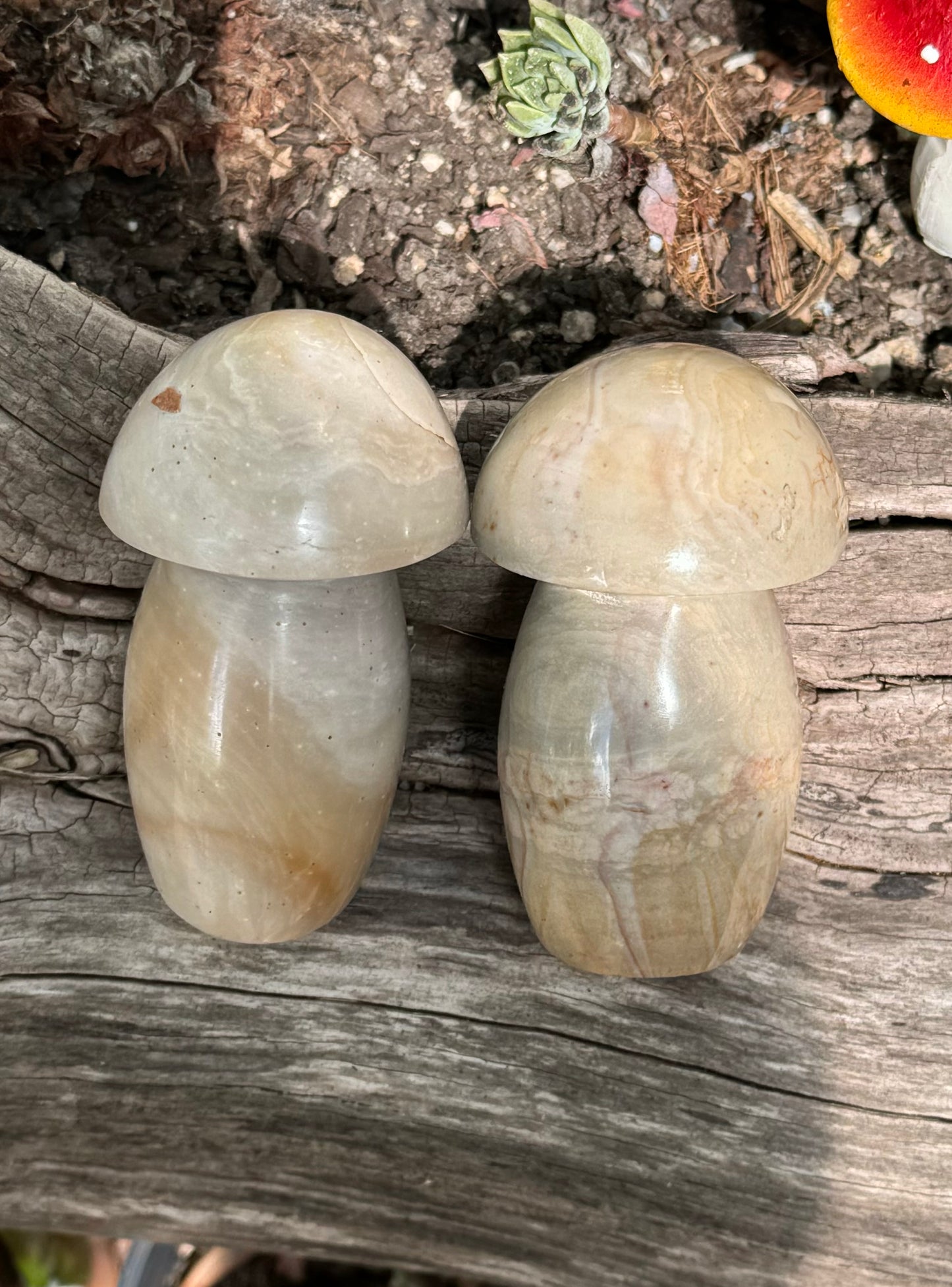 Chunky Mushroom Carvings