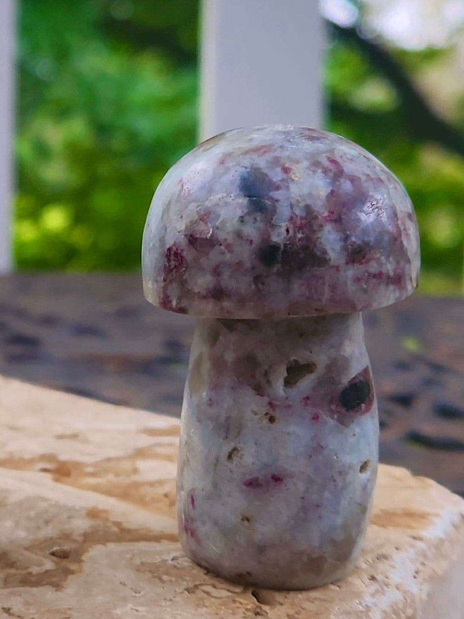 Chunky Mushroom Carvings
