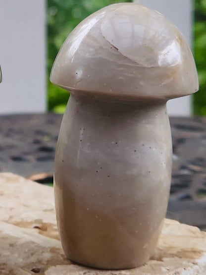 Chunky Mushroom Carvings
