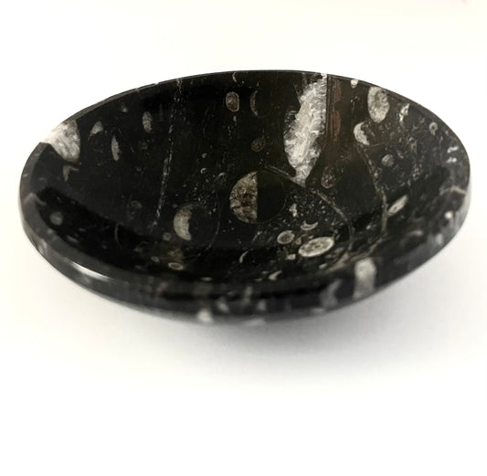 Orthoceras Fossil Smudge Bowl/ Trinket Dish - Hand Carved in Morocco