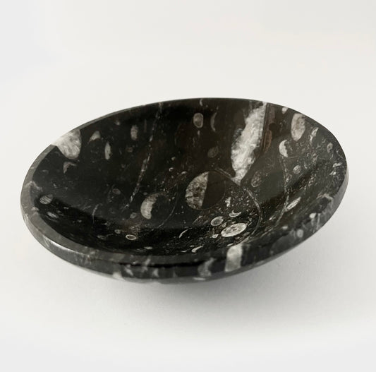 Orthoceras Fossil Smudge Bowl/ Trinket Dish - Hand Carved in Morocco
