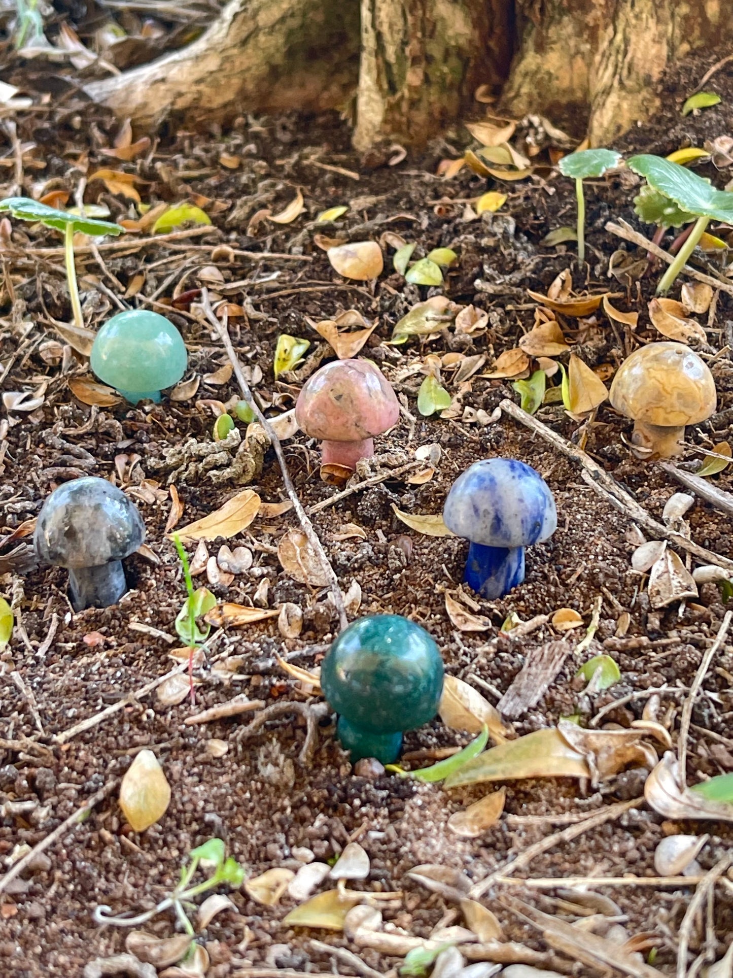 Mini Mushies