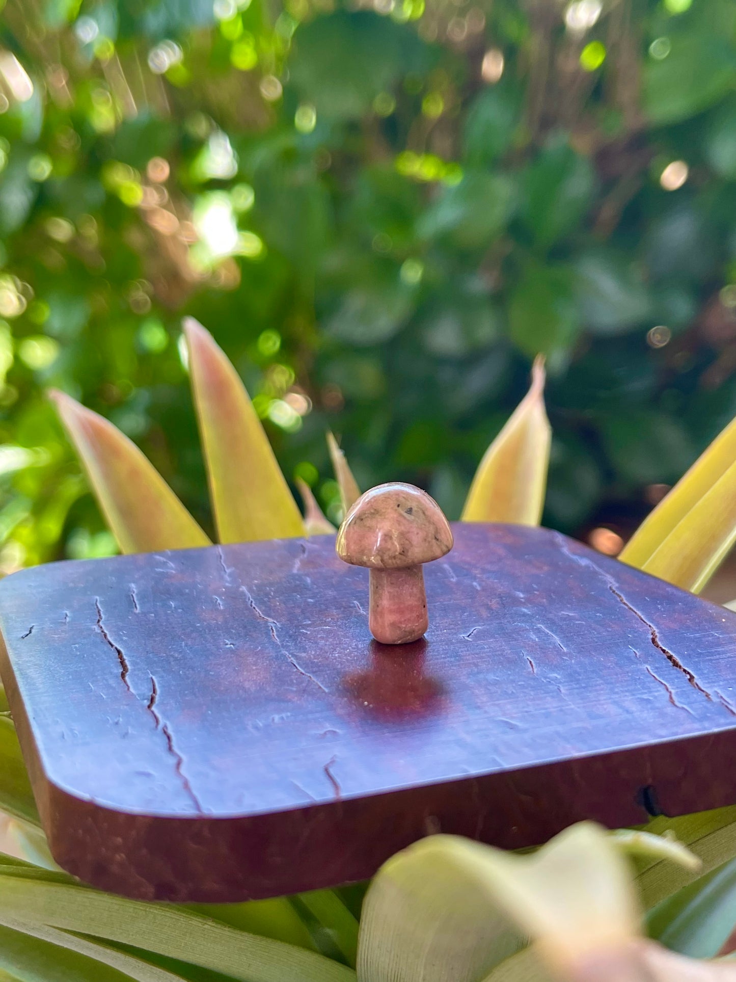 Mini Mushies