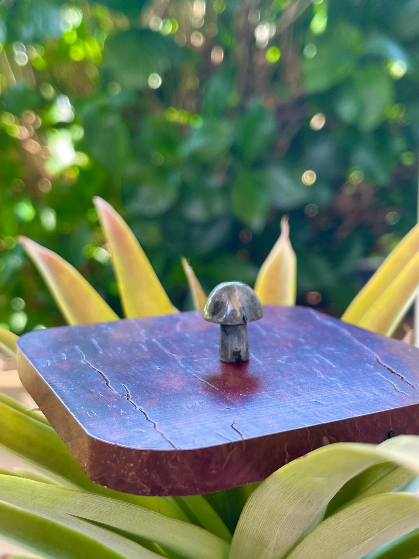 Mini Mushies