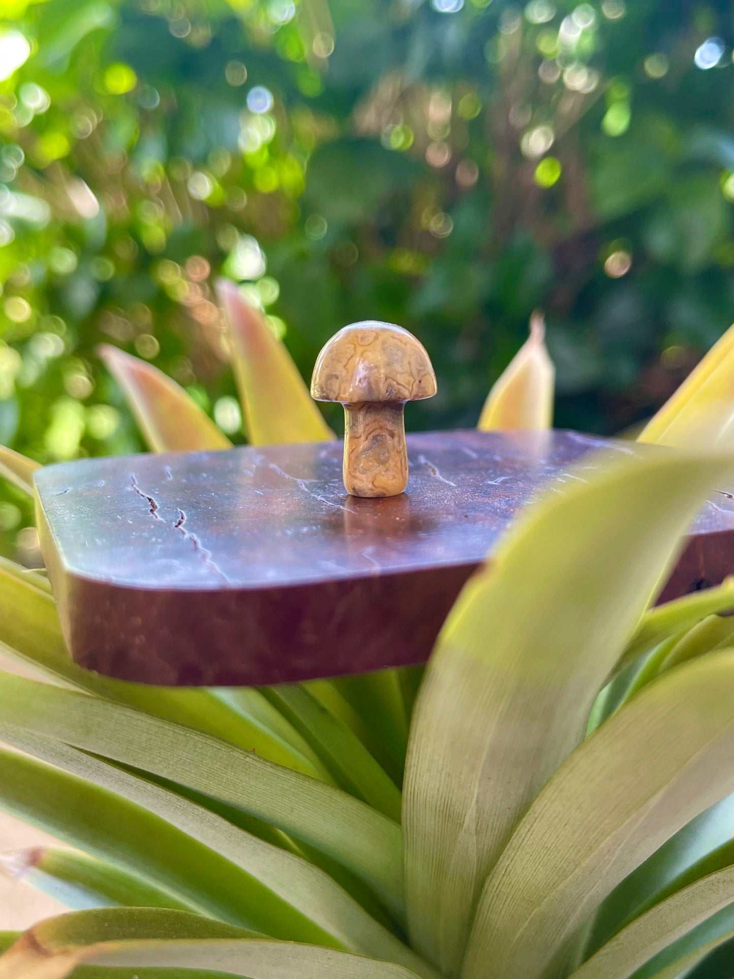 Mini Mushies